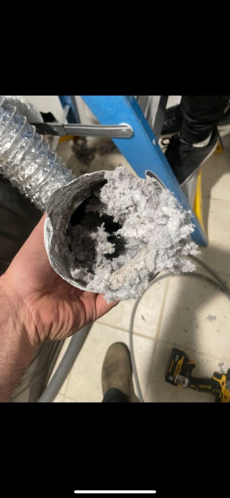 Bird In Dryer Vent Removal