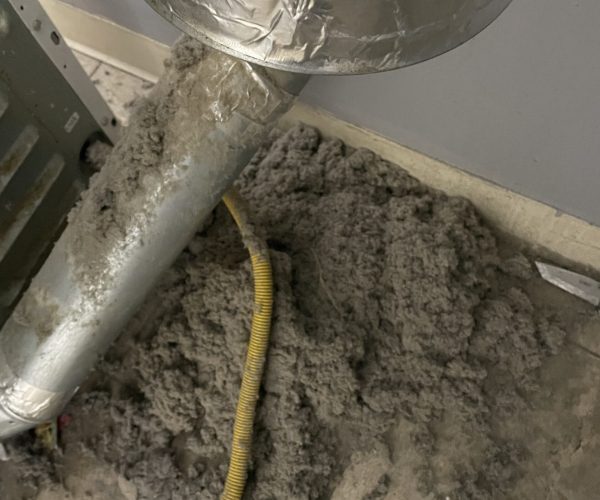 IMG_2319 Professional dryer vent cleaning