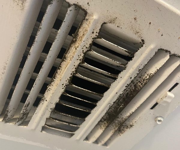 Prime clean air mold 111 Prime clean air mold 111