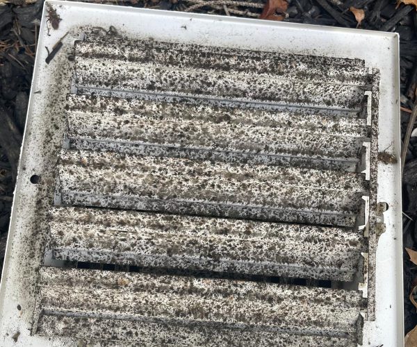 Prime clean air mold 222 How to check for mold in the air