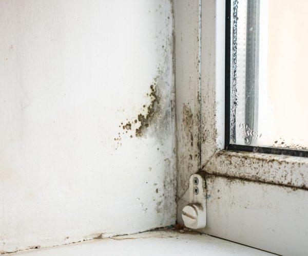 Mold,And,Fungus,On,The,Wall,And,White,Window. Air Duct Cleaning In Alpha